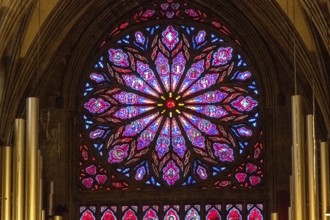 Nidaros Cathedral, cathedral, stained glass window, rose window, Trondheim, Trøndelag, Norway,