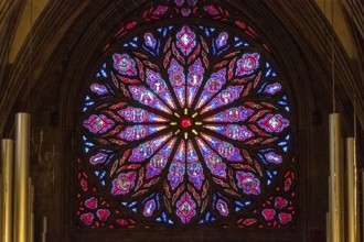 Nidaros Cathedral, cathedral, stained glass window, rose window, Trondheim, Trøndelag, Norway,