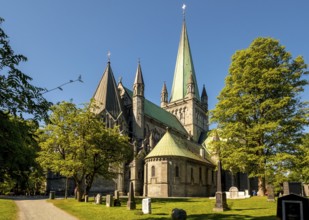 Nidaros Cathedral, Cathedral, Trondheim, Trøndelag, Norway, Scandinavia, Europe, adventure trip,