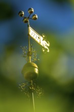 Church spire, weather vane, brass church spire, 1779, Trondheim, Trøndelag, Norway, Scandinavia,