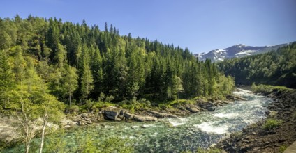 River in the mountains, forest, stones, sky, Vossestrand, Hordaland, Norway, Scandinavia, Europe,