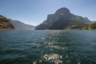 Fjord, Nærøyfjorden, Flåm, Gudvangen, mountains, trees, blue sky, Undredal, Sogn og Fjordane,