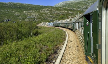 Flam Railway in the mountains, near Fureberget, trees, sky, Flåm, Sogn og Fjordane, Norway,