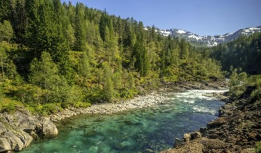 River in the mountains, forest, stones, sky, Vossestrand, Hordaland, Norway, Scandinavia, Europe,