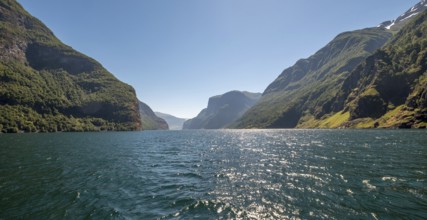 Fjord, Nærøyfjorden, Flåm, Gudvangen, mountains, trees, blue sky, Undredal, Sogn og Fjordane,