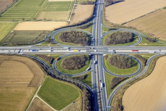 Aerial photo, Werl motorway junction of the A44 motorway and A445 motorway cloverleaf shape, Werl,