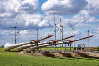 Construction site for the expansion of the Lövenich wind farm, in the Rhenish lignite mining area,