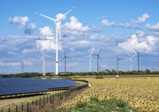 86, 5 MW peak ground-mounted photovoltaic systems, from RWE, with over 141, 000 solar modules, on a