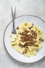 Pasta papardelle, in creamy garlic sauce, with mushrooms, traditional Italian cuisine, pasta