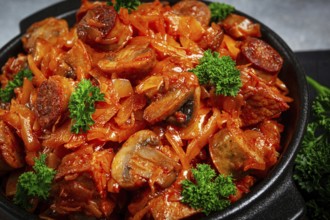 Bigos, bigus is a national Polish dish, made of cabbage and meat, stewed, homemade, no people