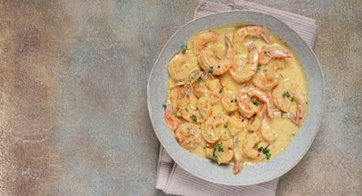 Shrimp in creamy garlic sauce, with spices and herbs