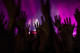 Festival visitors raise their hands in the air at Ikkimel at the Superbloom Festival, day 2 in the