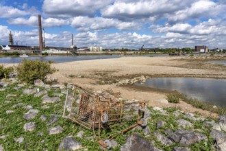 Rhine near Duisburg, low water, Rhine level, the right bank of the Rhine, near Duisburg-Neuenkamp,