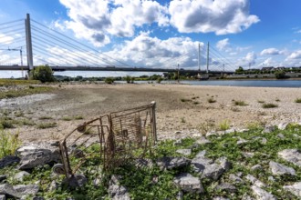 Rhine near Duisburg, low water, Rhine level, the right bank of the Rhine, near Duisburg-Neuenkamp,