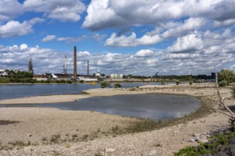 Rhine near Duisburg, low water, Rhine level, the right bank of the Rhine, near Duisburg-Neuenkamp,