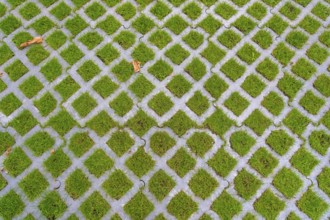 Lawn pavers, made of concrete, instead of completely sealing an area with paving stones, concrete