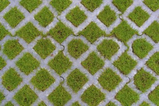 Lawn pavers, made of concrete, instead of completely sealing an area with paving stones, concrete