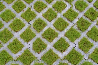 Lawn pavers, made of concrete, instead of completely sealing an area with paving stones, concrete
