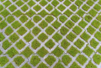 Lawn pavers, made of concrete, instead of completely sealing an area with paving stones, concrete
