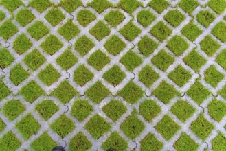 Lawn pavers, made of concrete, instead of completely sealing an area with paving stones, concrete