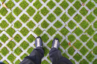 Lawn pavers, made of concrete, instead of completely sealing an area with paving stones, concrete