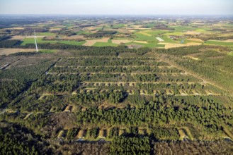 Aerial photo, Keller Pyro, storage facility for rent in Olfen, forest area Hullerner Straße,