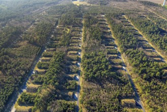 Aerial photo, Keller Pyro, storage facility for rent in Olfen, forest area Hullerner Straße,