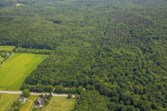 Aerial view, Hiesfelder Wald with playground at Franzosenstraße, Walsumer Mark, Oberhausen, Ruhr