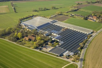 Aerial view, palm hero and gardener Gregg Garden Centre Greenhouse, Nordkirchen, Münsterland, North