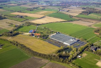 Aerial view, horticultural business Heutinck Pflanzen GmbH, greenhouse and flower bed, Südkirchen,