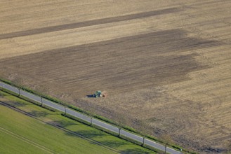 Aerial view, agricultural work with tractor on a field, Ascheberger Straße with tree avenue,