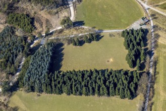 Aerial view, meadow area and group of trees Luciastrasse, mountains, Meschede, Sauerland, North