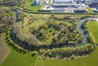 Aerial view, river Lippe meander with bulb field landscape conservation area at Remondis Lippewerk