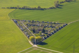 Aerial view, triangular allotment garden association Grüne Insel, Alstedde, Lünen, Ruhr area, North