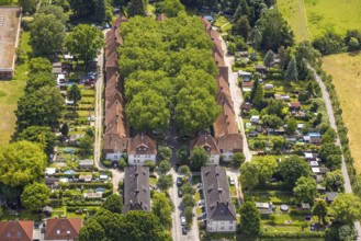 Aerial view, housing estate settlement Teutoburgia miners' settlement with group of trees in the