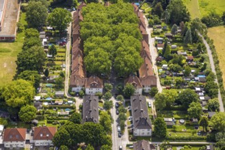 Aerial view, housing estate settlement Teutoburgia miners' settlement with group of trees in the