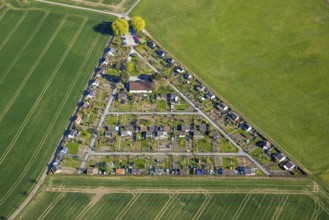Aerial view, triangular allotment garden association Grüne Insel, Alstedde, Lünen, Ruhr area, North