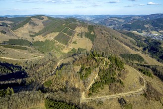 Aerial view, district Wohnsieldlung Stöppel, forest with forest damage, Halberbracht, Lennestadt,