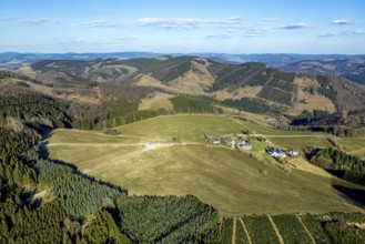 Aerial view, district Wohnsieldlung Stöppel, forest with forest damage, Halberbracht, Lennestadt,