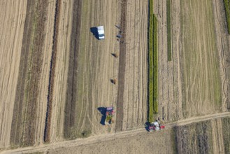 Aerial view, agricultural field work with tractor and manual labour, Würdinghausen, Kirchhundem,