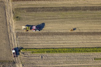 Aerial view, agricultural field work with tractor and manual labour, Würdinghausen, Kirchhundem,