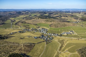 Aerial view, forest area with forest damage in residential area, local view Kruberg, Kirchhundem,