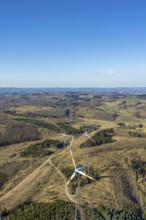 Aerial photo, wind turbines and forest area with forest damage, blue sky with distant view,