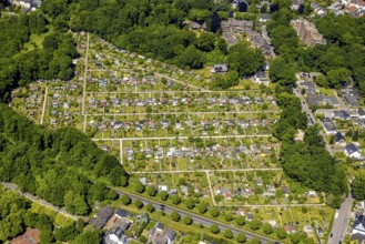 Aerial view, allotment garden association KGV Erholung Buer, Buer, Gelsenkirchen, Ruhr area, North