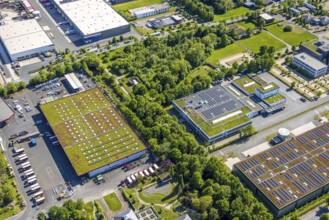 Aerial view, roofing purchase, DEX, Rhynern, green roofs, Hamm, Ruhr area, North Rhine-Westphalia,