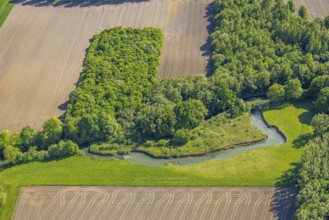 Aerial view, Gravenkamp area with meadows and fields, river Ahse, Uentrop, Hamm, Ruhr area, North