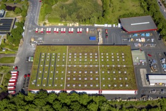 Aerial view, roofing purchase, DEX, Rhynern, green roofs, Hamm, Ruhr area, North Rhine-Westphalia,