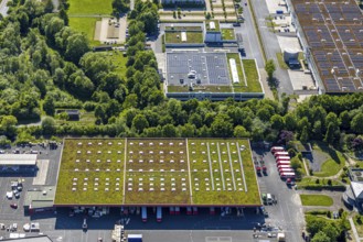 Aerial view, roofing purchase, DEX, Rhynern, green roofs, Hamm, Ruhr area, North Rhine-Westphalia,