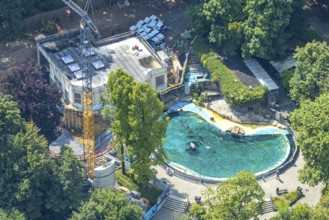 Aerial view, Duisburg Zoo, sea lion enclosure and construction site with modernisation and