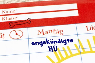 (Photomontage) Close-up of a timetable with added text ANGEKÜNDIGTE HÜ